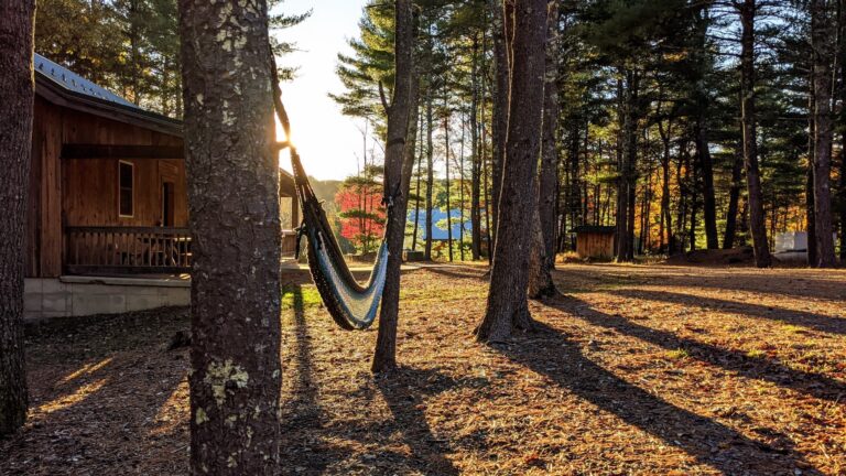 PXL 20201014 213525948 scaled 1 768x432